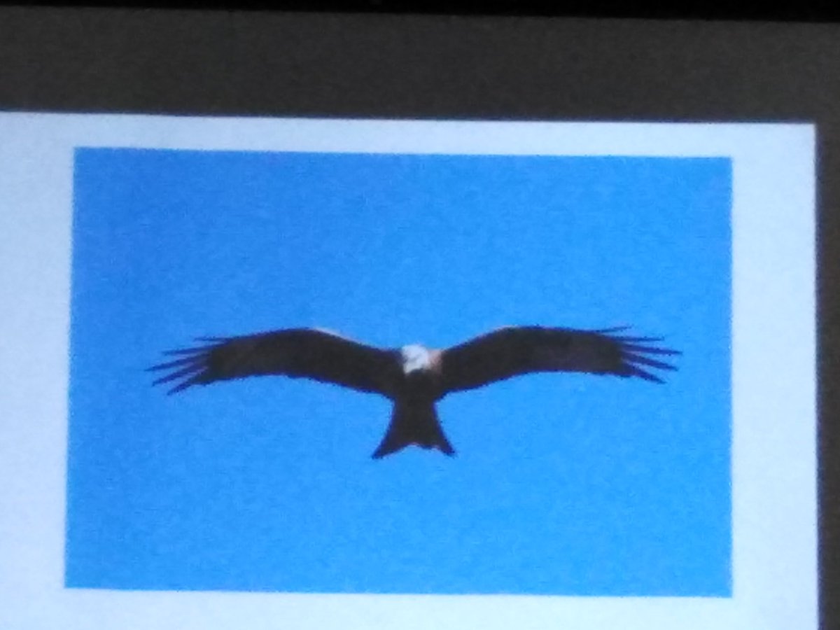 4peatssake2's tweet photo. Brave man😉 @GeoffCarrEco offered a few predictions of new breeding species into #SouthYorkshire Fingers crossed #raptors avoid #WildlifeCrime Shared nostalgia for some of the declining farmland species such as Grey Partridge @SorbyNatHisSoc 10th #SYNHD in Treeton Thanks to all👍 https://t.co/FBxvKwv0OU