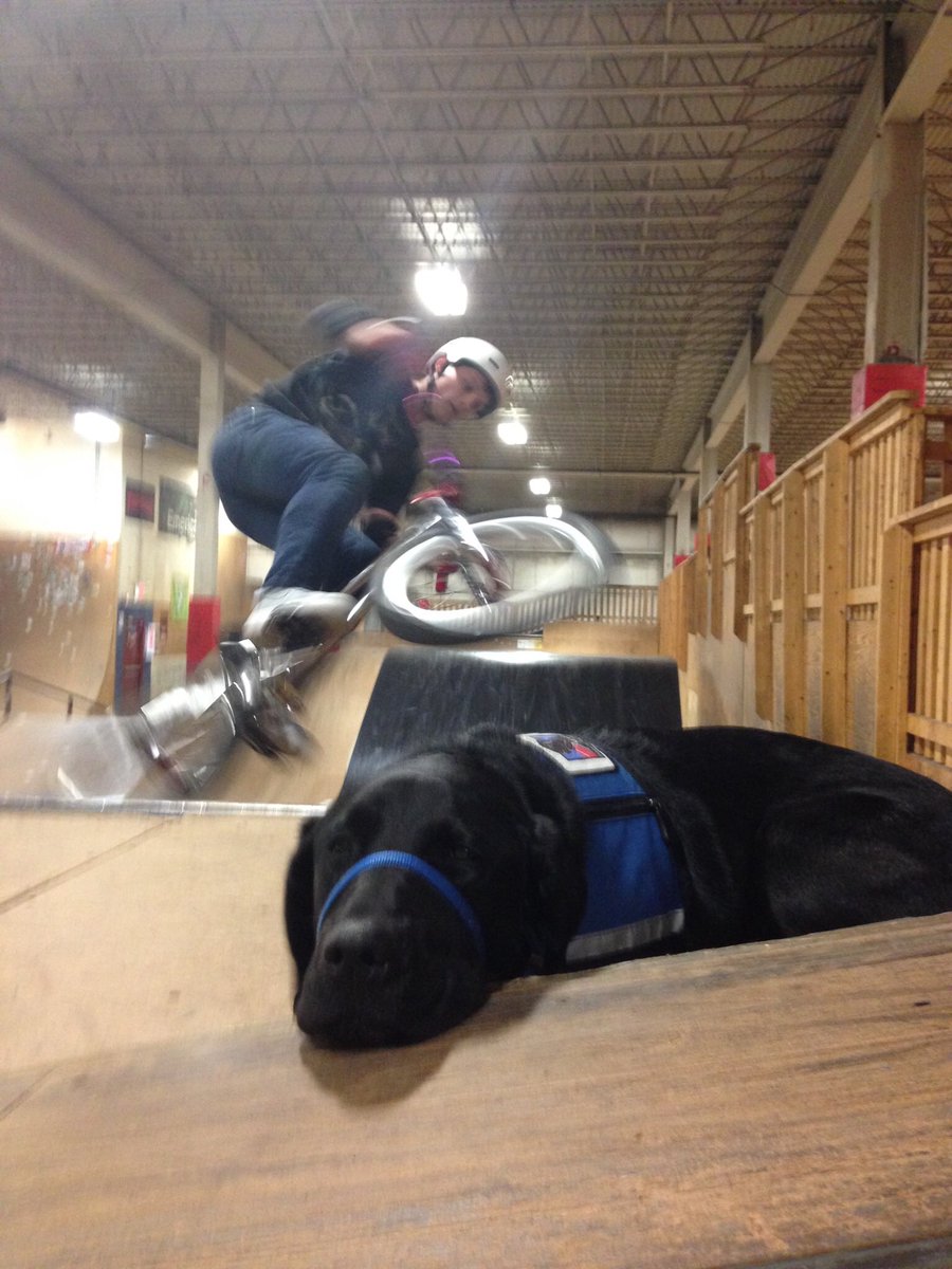 DougGrandin's tweet photo. Yeah, well, not impressed. @NEADSdogs https://t.co/wb45hmo5tQ