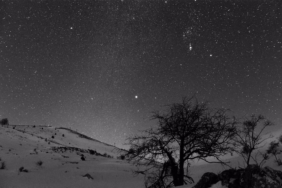 Pietro Francia (@pietro_francia) on Twitter photo #Orion the hunter over a winter landscape. Aremogna (Roccaraso, IT). Nikon D7100, Samyang 16 mm f/2. <a href="/EpicCosmos/">Epic Cosmos</a> #Orion the hunter over a winter landscape. Aremogna (Roccaraso, IT). Nikon D7100, Samyang 16 mm f/2. <a href="/EpicCosmos/">Epic Cosmos</a>