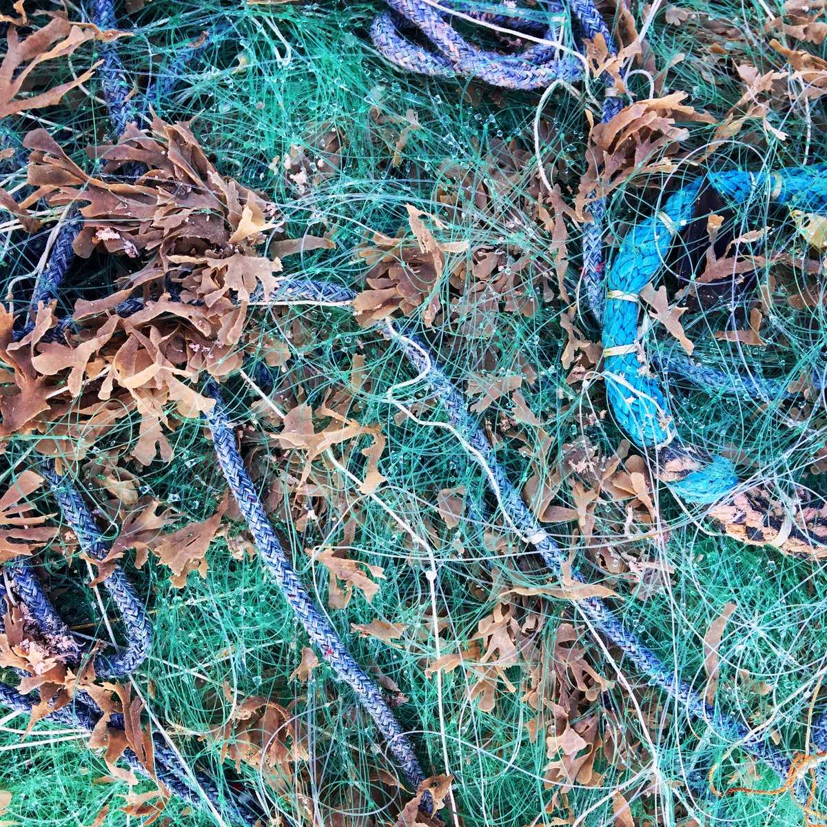 AlazardJ's tweet image. Derniers embruns #ZoneB