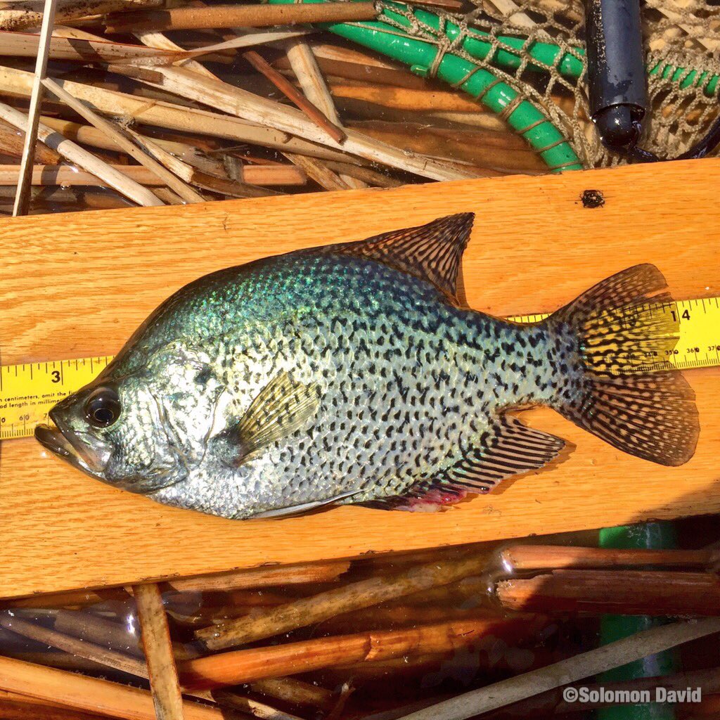Applicant popular among peers, but had a crappie attitude.