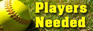 Hey 13u girls, where are you at?
Does your Middle Schooler want to play softball? Register at dsasports.org before February 28. Late registration begins on March 1. Don’t pay the $25 late fee, register today!
