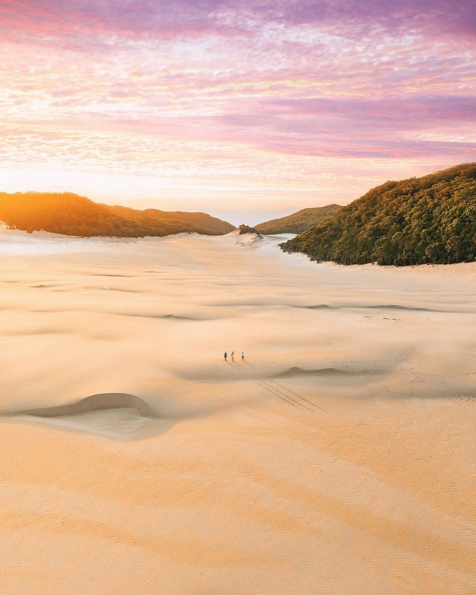 noosa's tweet photo. A magical sunrise over the largest coastal sand dune in @Australia! 🌅😮 

(#CooloolaSandpatch via @jesselindemann) #VisitNoosa #RelaxationCapital https://t.co/juGDy8EqyS