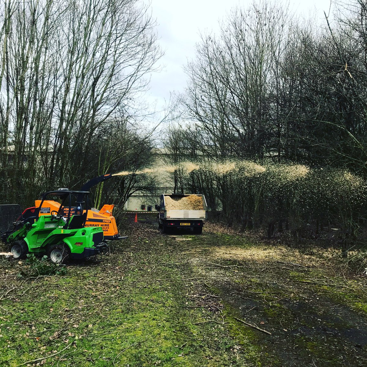 L&M Tree Services tweet media