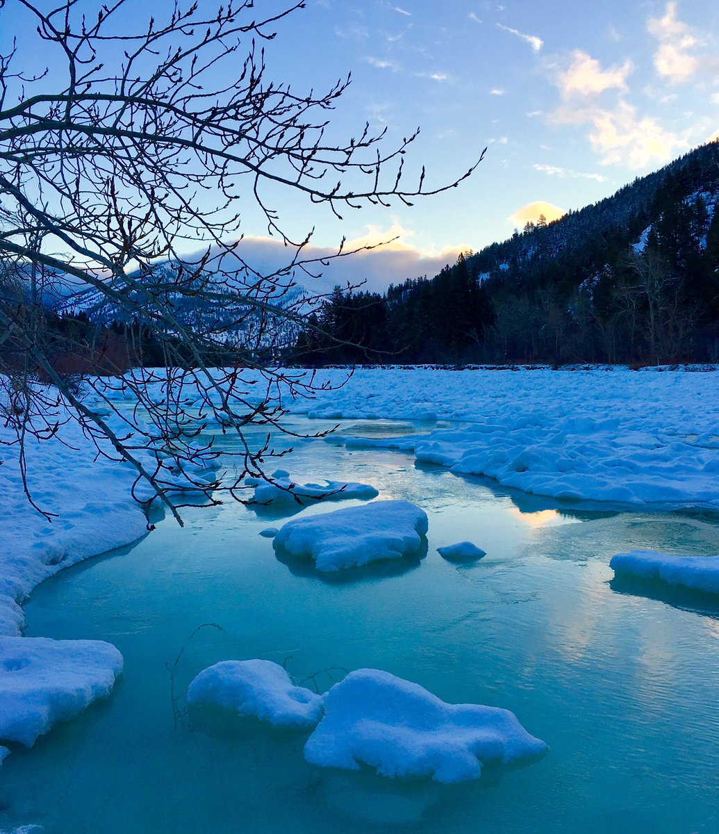 Lmatteau66's tweet photo. Frosty morning walk along the Clark Fork. The colors of those water holes is phenomenal. Now it’s all completely frozen over. With another wicked cold front pushing through.
#verycold #winter #clarkforkriver #clarkforkrivermissoula #fortunate #walkingthinking #bluesandgreens #icy https://t.co/GuZNExJEVM