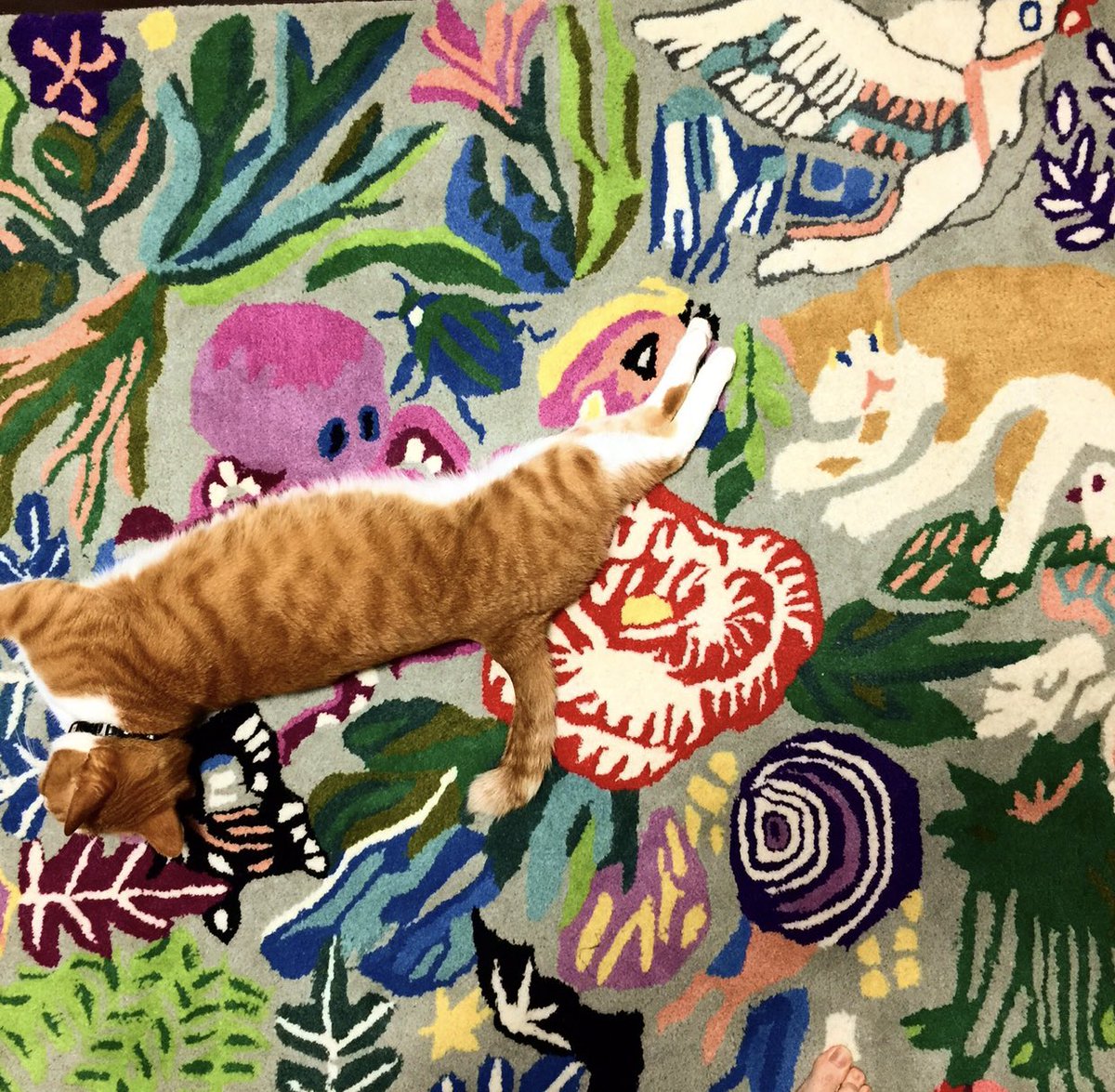 ラグの画像です。#ヒグチユウコ画集circus にもラグの原画が掲載されて