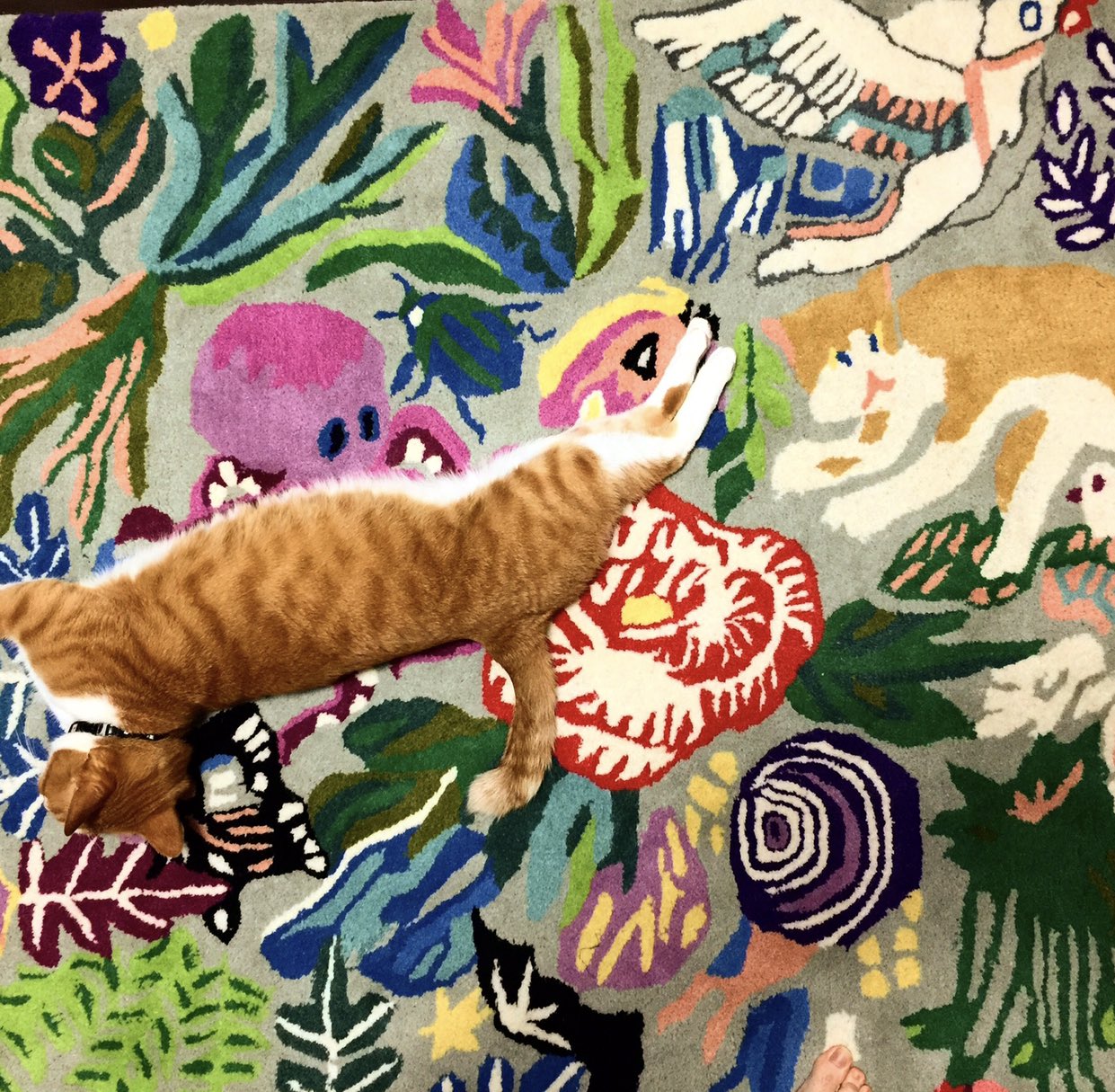 未使用品）　GUSTAVE  ヒグチユウコ　草原を逃げるボリス　ラグマット ヒグチユウコ GUSTAVE ラグ 【草原を逃げるボリス】