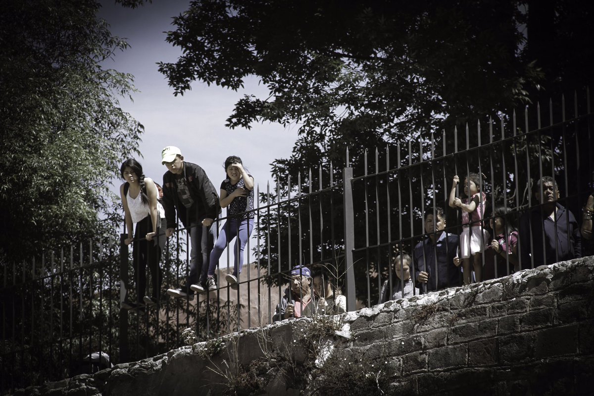 Feria Toro tweet media