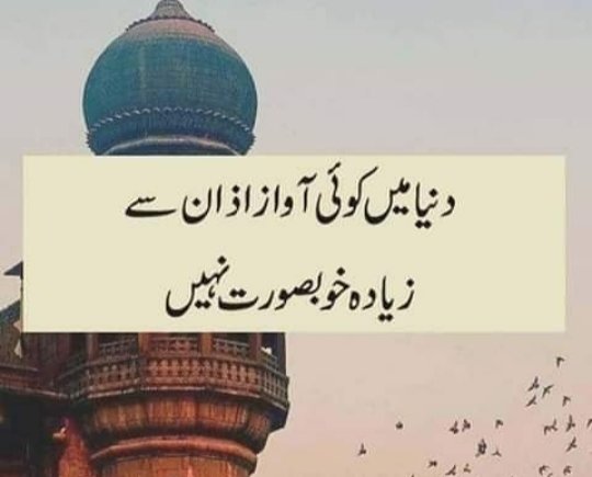 ChurailBhoot's tweet photo. بیشک 💕 https://t.co/0rRfTEDwpA