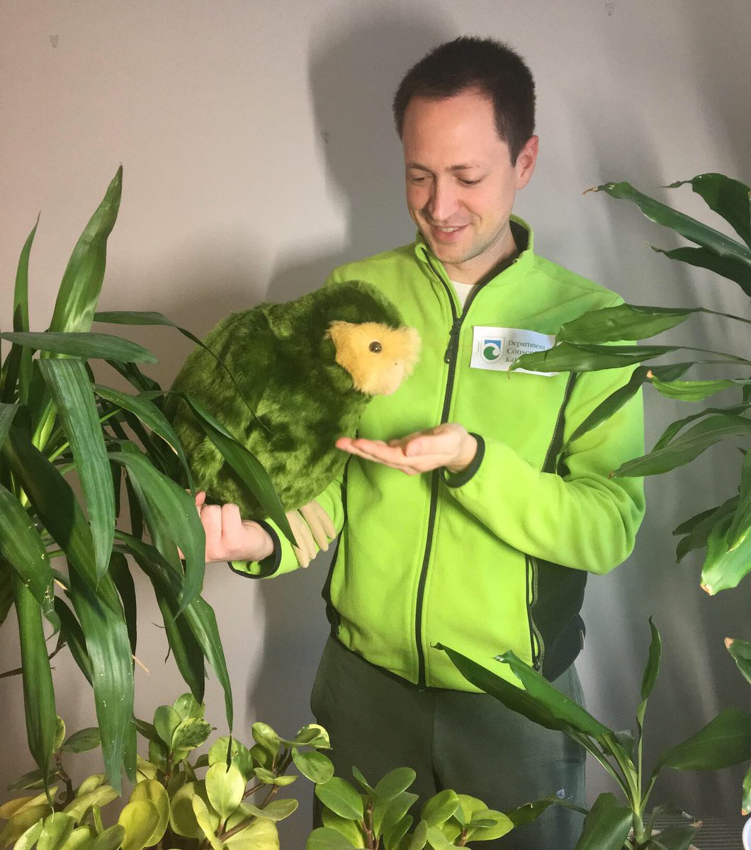 kakapo plushie