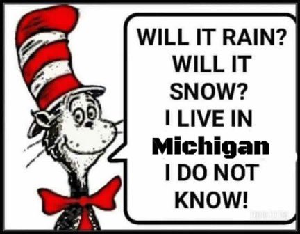 PickleSeniorPro's tweet image. Definitely should add ICE to this too!  #CrazyWinter #MichiganProblems