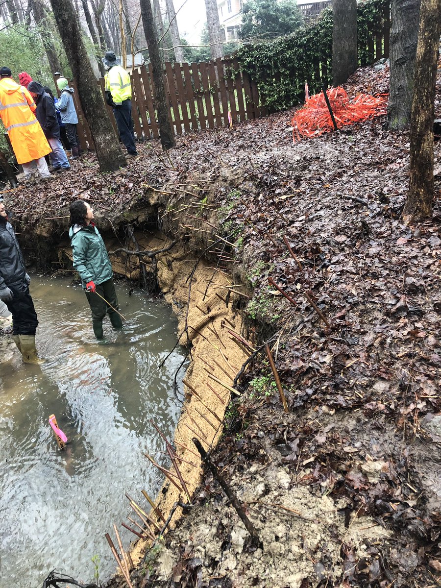 KassaKayla's tweet photo. First there were two, then there were 8. NCSU grad students showed great numbers volunteering for another stream restoration event today and had a blast in the rain. 
#GoPack #ncsubae https://t.co/l2azyboa58