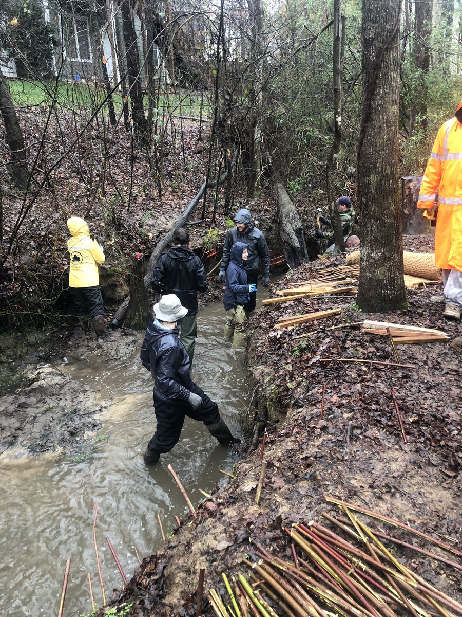 KassaKayla's tweet photo. First there were two, then there were 8. NCSU grad students showed great numbers volunteering for another stream restoration event today and had a blast in the rain. 
#GoPack #ncsubae https://t.co/l2azyboa58