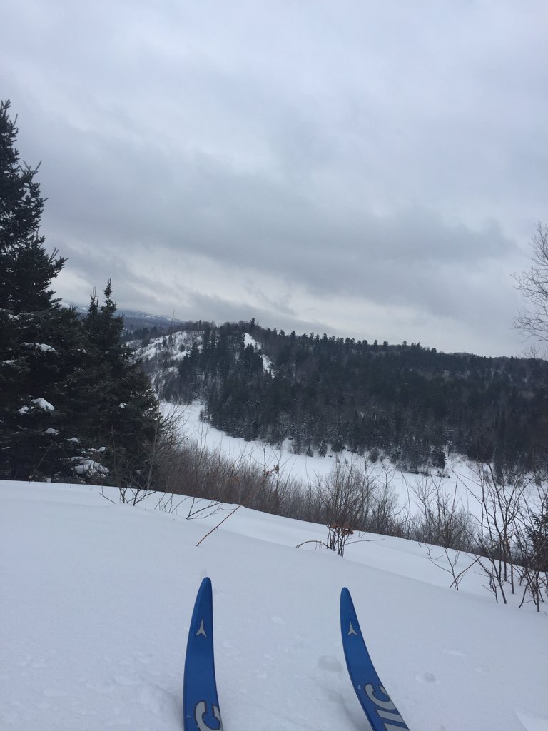wavesandrocks tweet picture
