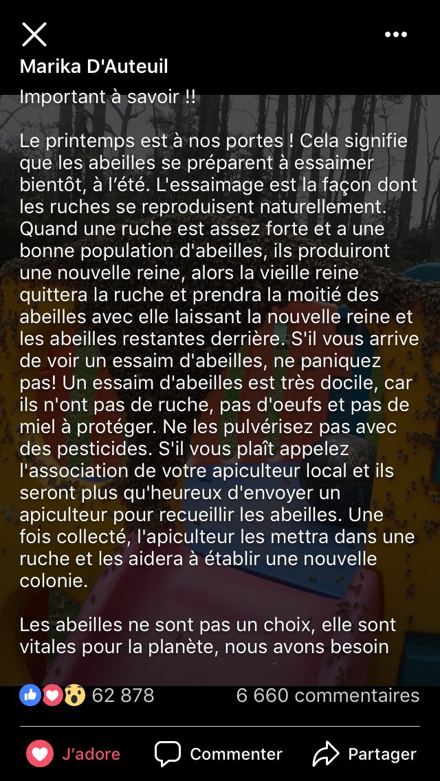 Roxunks's tweet photo. Petite info importante à partager concernant l’arrivée du printemps et nos chères petites abeilles 🐝 https://t.co/qyHnNYYlFK