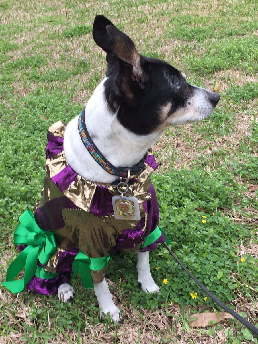 Woof! There’s a lot of dogs here, just woofing around, waiting for the parade to start:0) *woof*