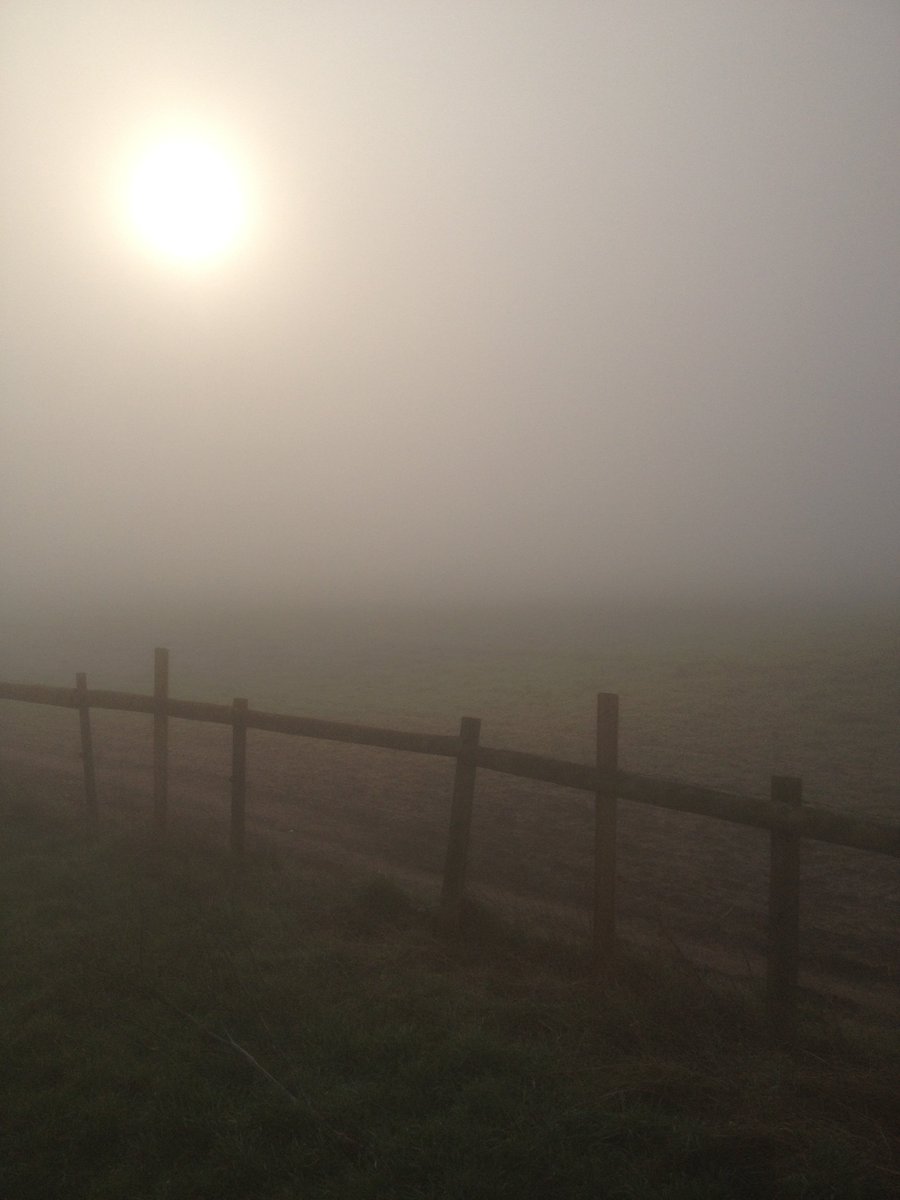 daffrock666's tweet photo. #Spazzy and I on our #MistyMorningHop. 
Shit iPoo camera, and #SUN was working so hard no need for #filters! 
Eight am and proper warm! 
I got a #FourLegged #Impatient #Tripod Haha! https://t.co/ORDhUmrZYz