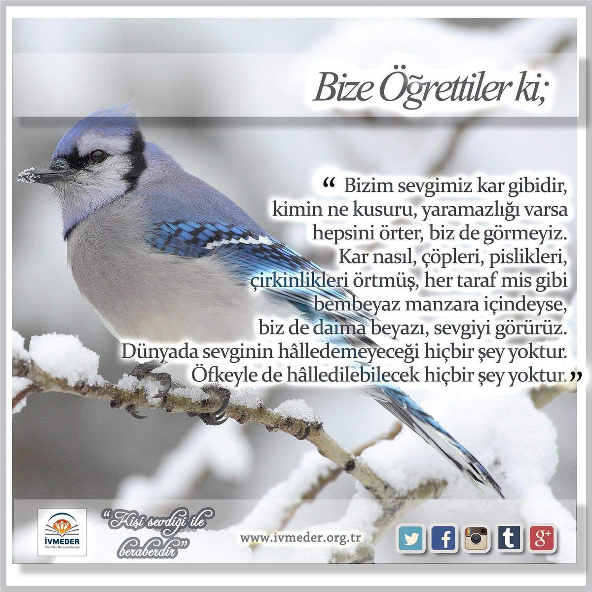 Bize Öğrettiler ki: 
"Bizim sevgimiz kar gibidir... "
#karyağıyor
