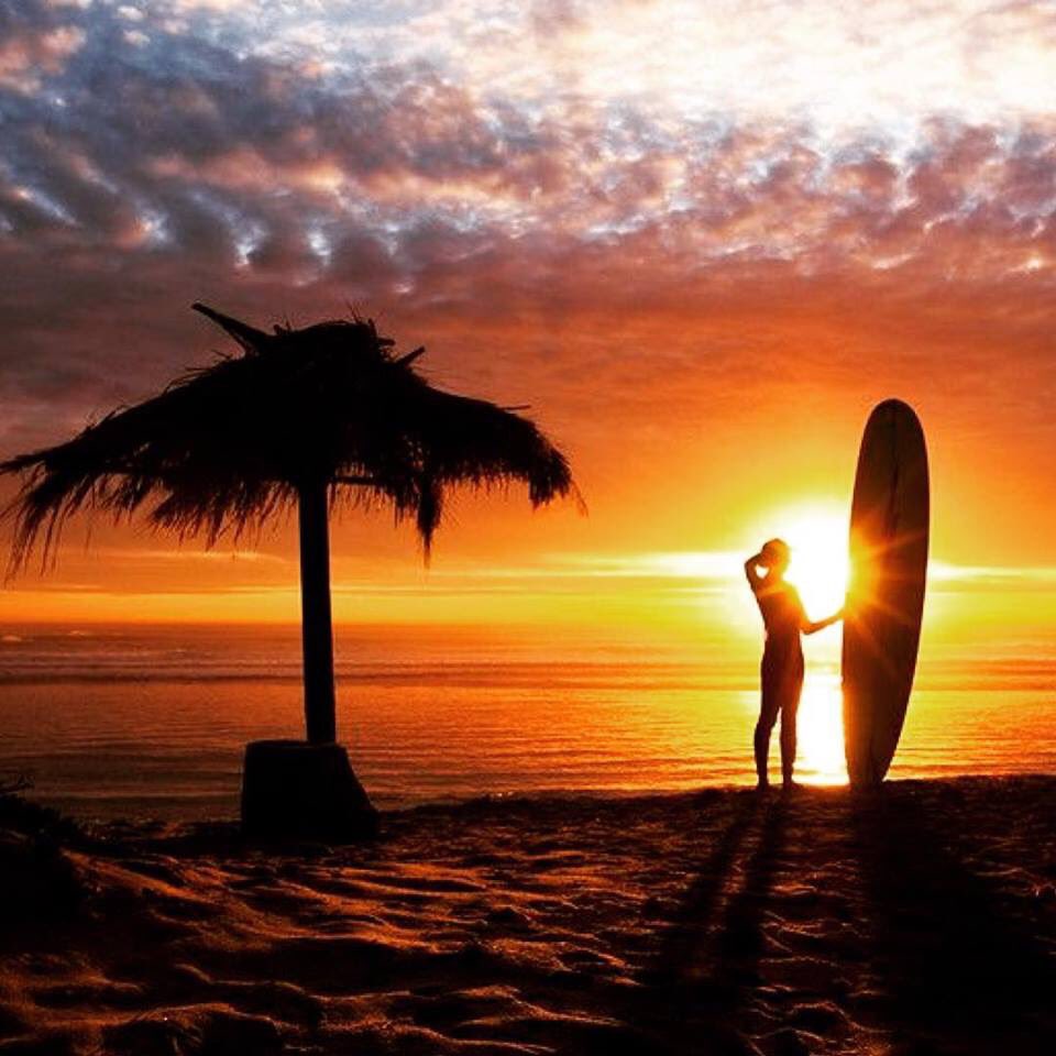 alien_surf's tweet image. Surf Mars!!!