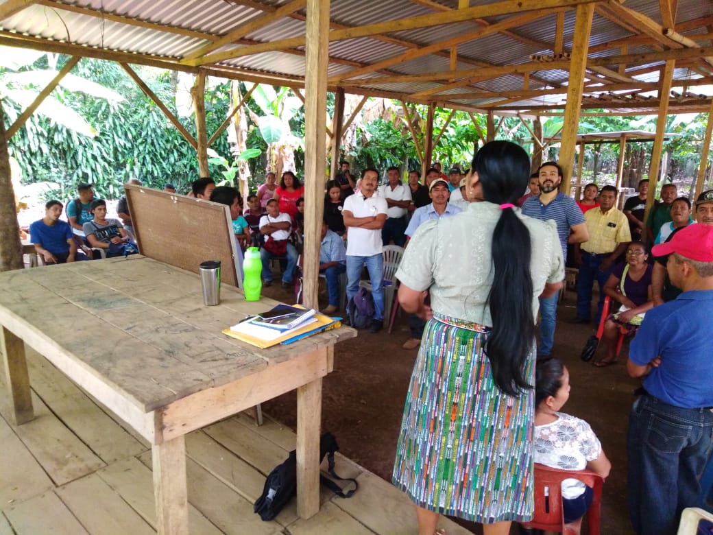 GtCodeca's tweet image. #Guatemala Procesos de formación en todos los territorios, somos defensorxs de derechos, con nuestro instrumento político #MLP proponemos cambios estructurales, con participación de los pueblos, ejerciendo democracia comunitaria y participativa.