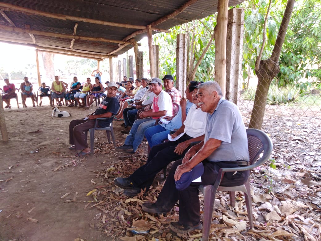 GtCodeca's tweet image. #Guatemala Procesos de formación en todos los territorios, somos defensorxs de derechos, con nuestro instrumento político #MLP proponemos cambios estructurales, con participación de los pueblos, ejerciendo democracia comunitaria y participativa.