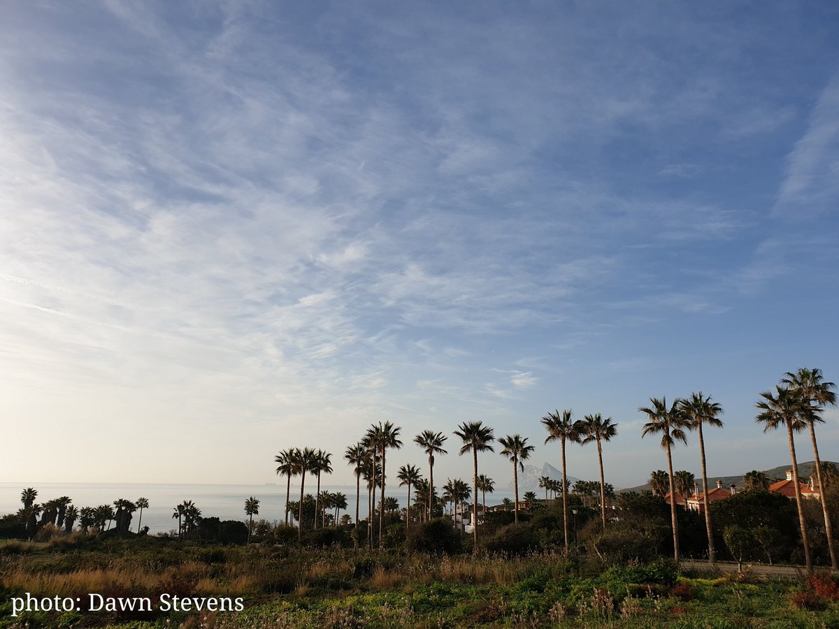 A lovely photo thanks to Dawn <a href="/mosspain/">Dawn S</a> of today's cirrus skies with #Gibraltar peeping through the trees - 23/02