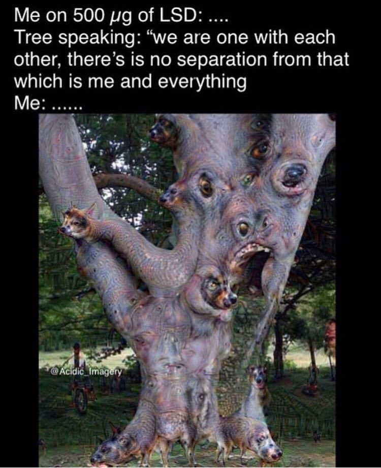 hyperheadspace's tweet image. 