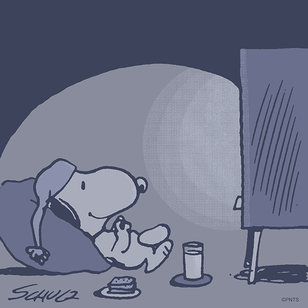 Saturday night plans.