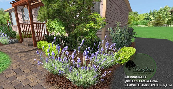 3DLandscapeDes1's tweet photo. This is one of our past clients who had a small cottage home that needed a landscape uplift. #landscapedesign #landscapedesigner #landscapedesigns #gardendesigns #garden #landscaping  
#3dlandscapedesign #3dlandscapedesigners #3dlandscapedesigns #onlinelandscapedesign #cottage https://t.co/iMBYmmu58C