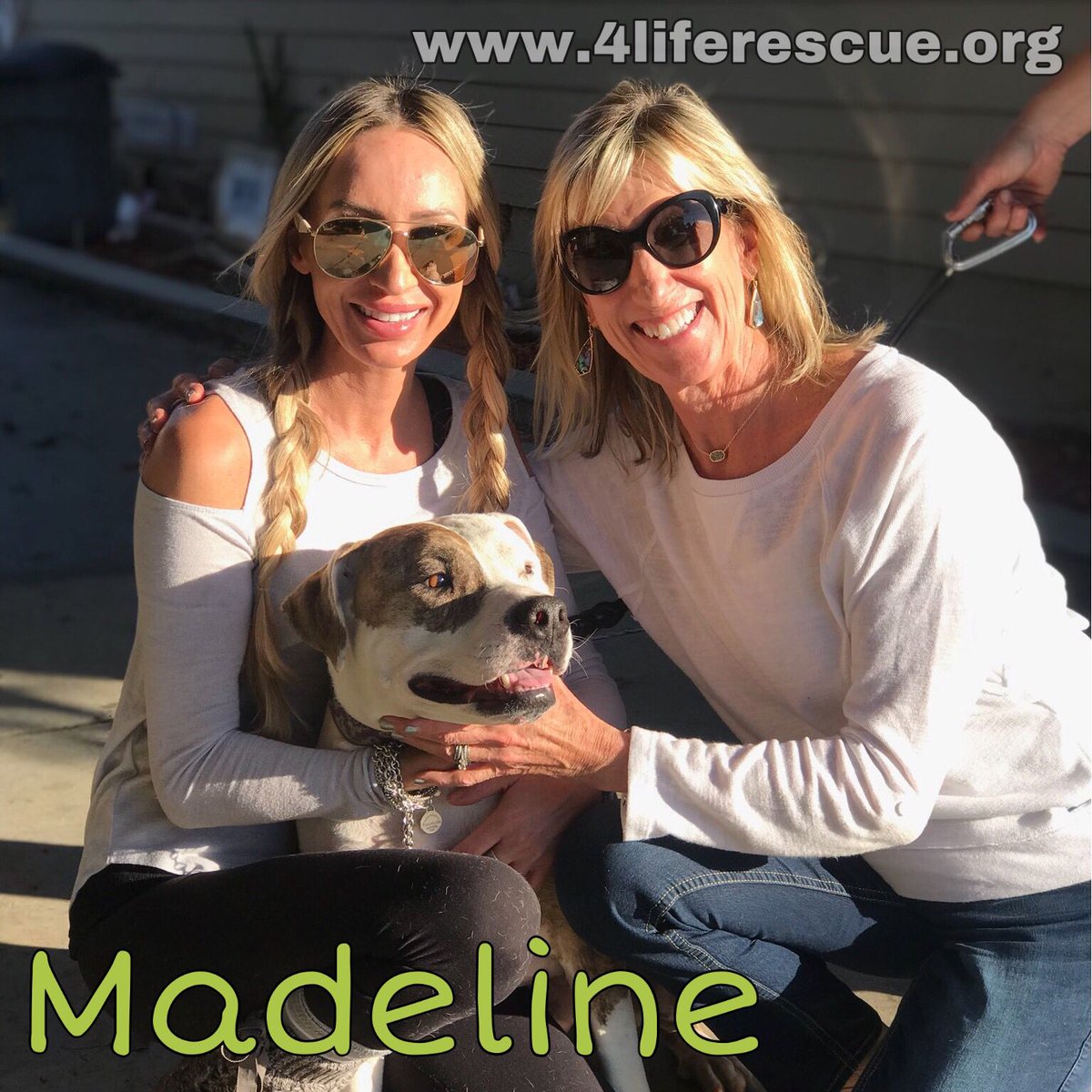 4LifeRescue tweet media