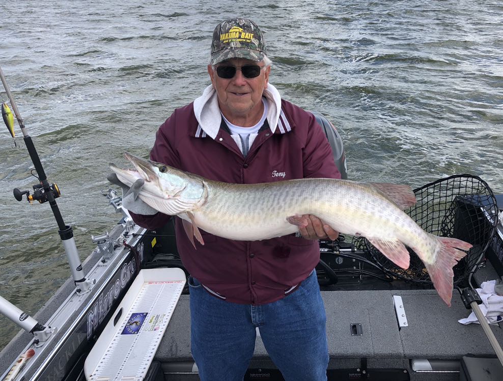 GBMusky's tweet photo. Tony is a horseshoe in my boat, we’ve never been skunked! More fall trolling on Green Bay with my #MojoMuskyTrolling Rods. #StCroixRods #BestRodsOnEarth #GB_Esox #FullyInvolvedMuskyAdventures #LuckyHorseShoe  #stcroixrods #bestrodsonearth https://t.co/8twBkDIOYE