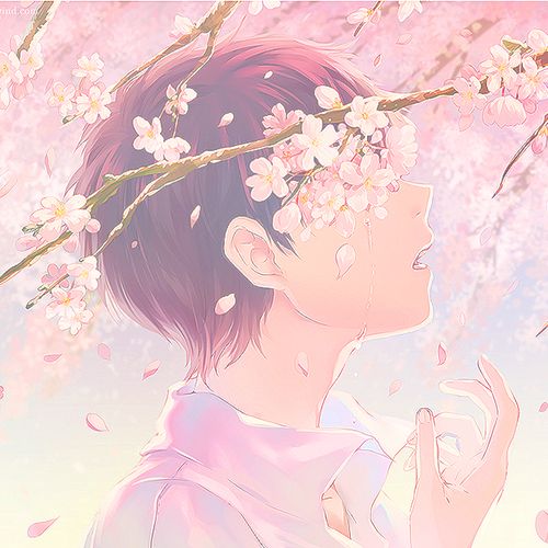 Chandler was standing under a rather big cherry blossom tree, as he reached out to gently pluck a flower out. 

He was just about to plop it into his mouth when he notices y/n staring at him 

"Hmm? Something wrong?" 

(#OpenRp #OpenDms)