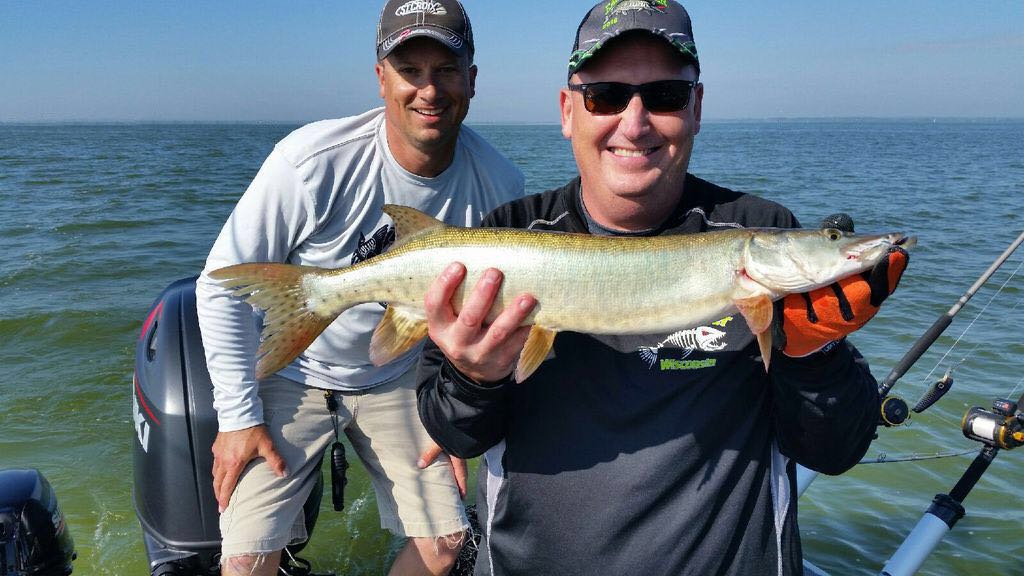 GBMusky's tweet photo. September is my favorite time for trolling on Green Bay, what a 5 hour trip! When one client is fighting a decent fish and a second #MojoMuskyTrolling Rod loads up. 98 1/4” in the net!! #StCroixRods #BestRodsOnEarth #GB_Esox #FullyInvolvedMuskyAd...  #stcroixrods #bestrodsonearth https://t.co/ruxXp5OkPE