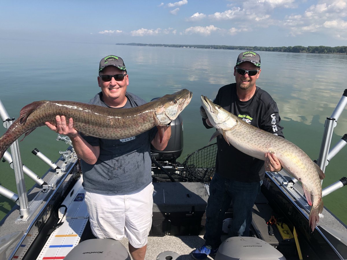 GBMusky's tweet photo. September is my favorite time for trolling on Green Bay, what a 5 hour trip! When one client is fighting a decent fish and a second #MojoMuskyTrolling Rod loads up. 98 1/4” in the net!! #StCroixRods #BestRodsOnEarth #GB_Esox #FullyInvolvedMuskyAd...  #stcroixrods #bestrodsonearth https://t.co/ruxXp5OkPE