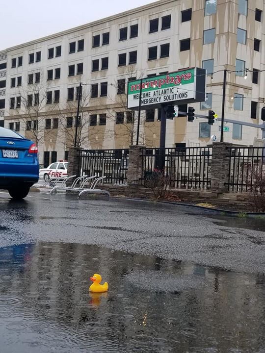 twinjamom's tweet photo. Last 20 miler of @ShamrockOn season β
Iβm not going to lie- it was wet, cold, windy and miserable. Iβm so thankful for the @JandARacing training team for getting me out of bed to finish the last long run! Itβs taper time! πππΌβοΈππ½ββοΈ #trainjanda #liveloverun #ShamrockOn https://t.co/BRsVFcUGXt