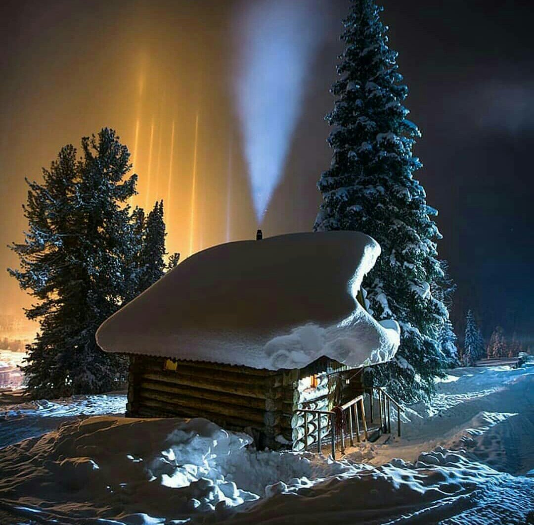 zotova_angel33 tweet picture