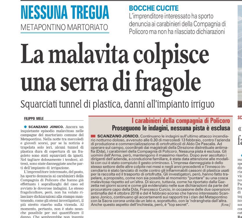 dukana2's tweet photo. La costa #Jonica lucana in mano alle #mafie..👉ancora intimidazioni e danneggiamenti ad aziende👉nonostante gli arresti👉gli agricoltori sono terrorizzati e hanno paura ..#Basilicata...martoriata https://t.co/x9R1ulJ9Sa