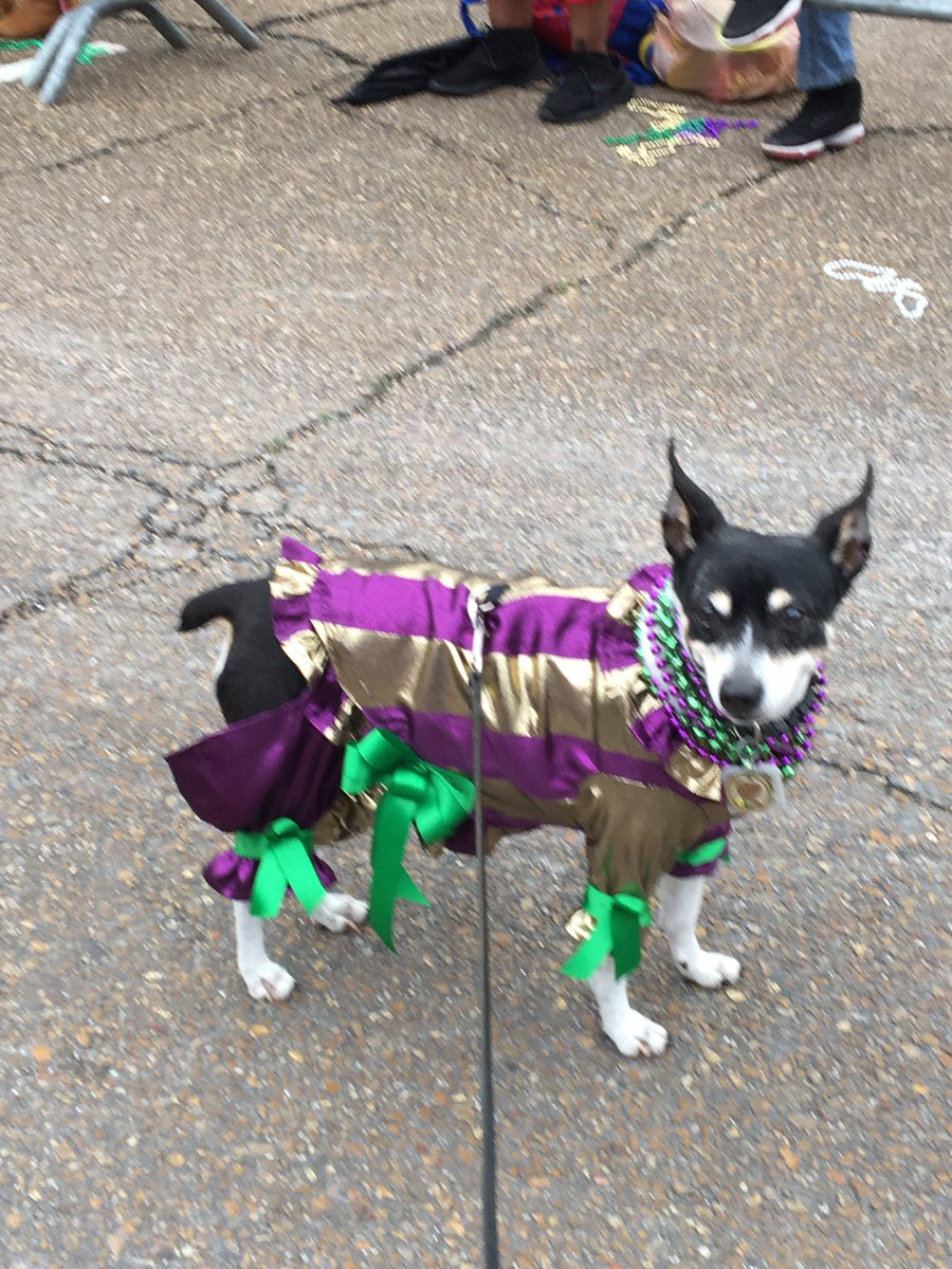 In all of this walking and woofing, I kept waiting for somebody to throw _me_ something... Well, besides beads, that is;0)