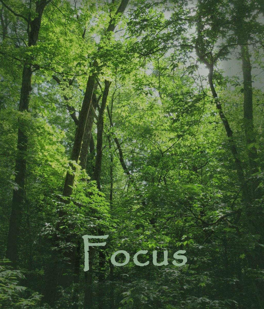 “Focus and get a clear, compelling vision of what you want.” Tony Robbins
.
#inspiration #getfocused #makeaplan #tonyrobbins #quoteinspo