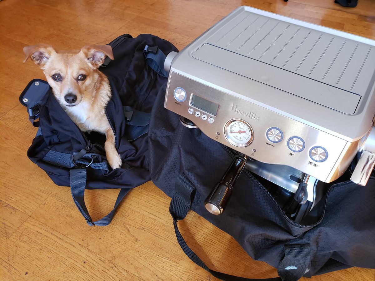 dev_vine's tweet photo. Essentials packed and ready for
#InvisionIRL https://t.co/tunJSsvEnh