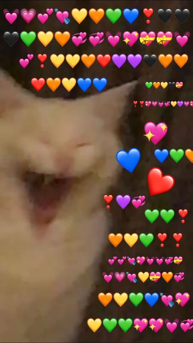 Котики с сердечками над головой. Милые коты с сердечками. Котик с сердечком мем. Кот с сердечками. Кот с сердечками.