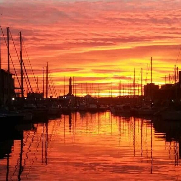 Pulce Piccolina tweet media