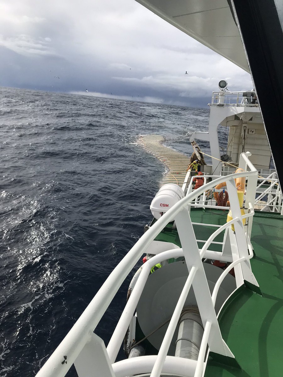 quantuspd379's tweet image. Back to Blue Whiting next week!