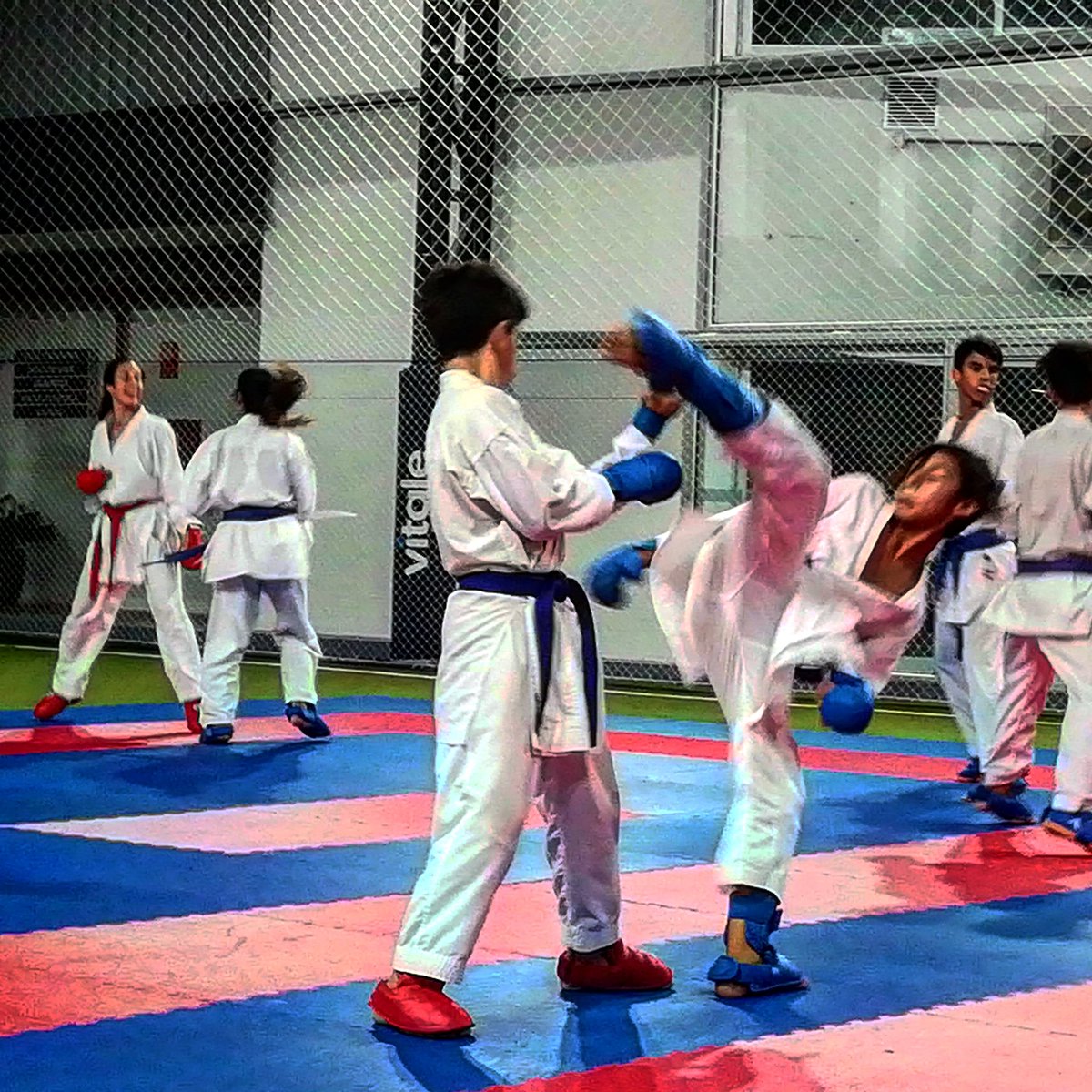 cukkarate's tweet photo. Entrenamiento Pre Selección Nacional

@centroenfoque

#karate
#karatecuk https://t.co/MHbIyCYFpf