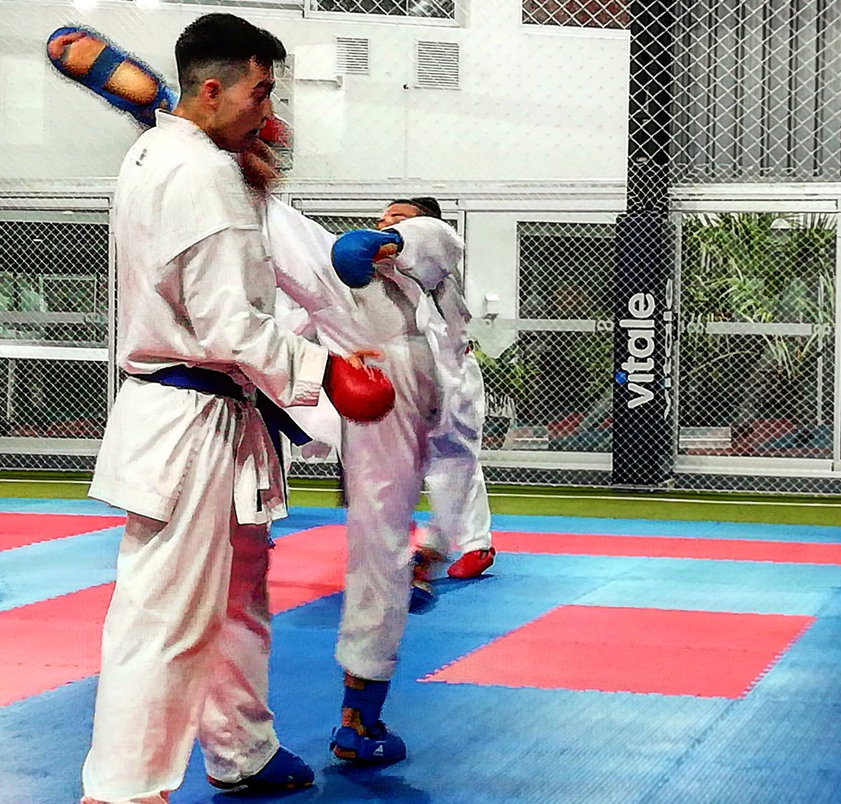 cukkarate's tweet photo. Entrenamiento Pre Selección Nacional

@centroenfoque

#karate
#karatecuk https://t.co/MHbIyCYFpf