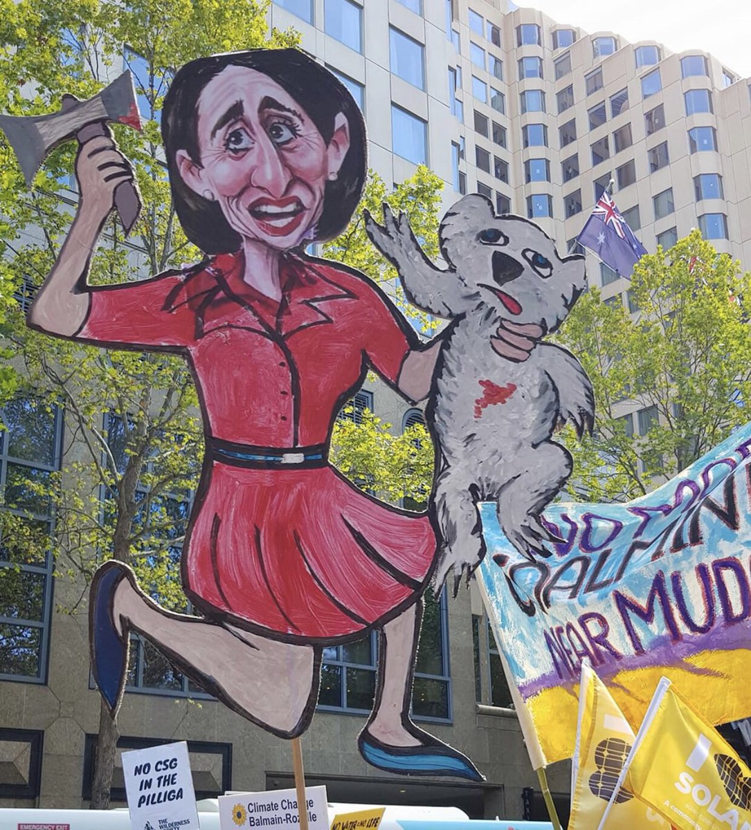 tilly64's tweet photo. @Peter_Fitz @smh Her essential DECENCY? Are you kidding? Tell that to people @GladysB has thrown out of their homes, whose businesses are bankrupt, to the wildlife facing extinction, to the heritage she has destroyed #westconnex #cbdlightrail #koala #windsor #Haberfield #newcastle https://t.co/us90A6pjEs