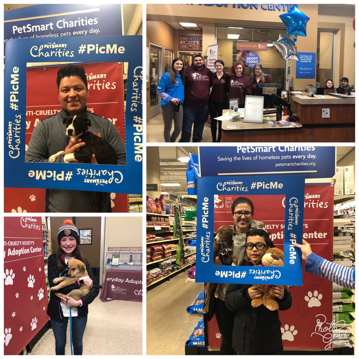 LoopPetsmart's tweet image. Great teamwork from @AntiCruelty and Gil the @LoopPetsmart Adoption Ambassador to ensure all the newly furever homed pets got everything they needed to make a smooth transition home #PicMe #adoptlove #LifeAtPetSmart Taking Applications till 7 tonight and all day tomorrow
