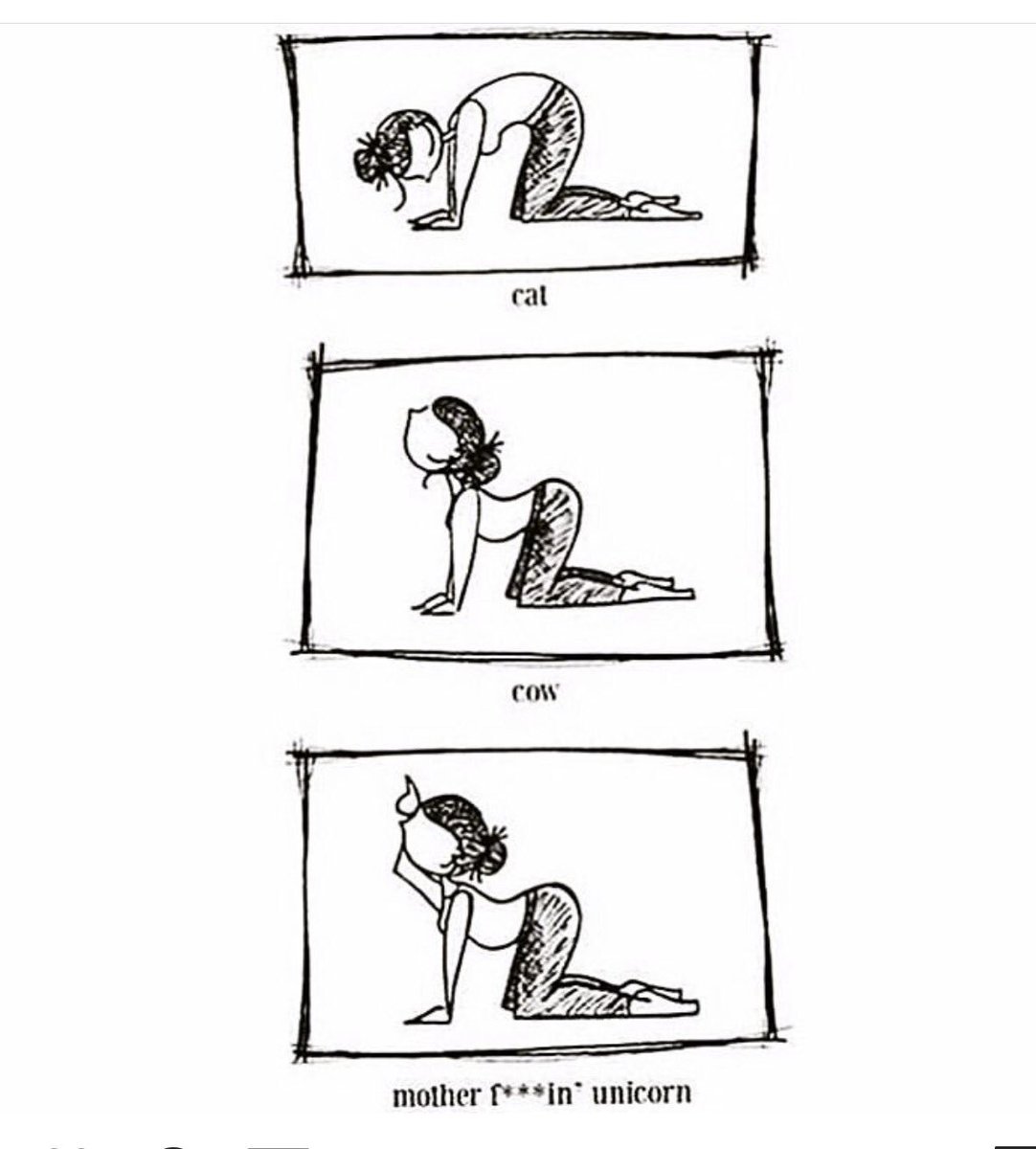 ThePointEB's tweet image. 💯ALL THE WAY YESSSSS 🦄🦄🦄🦄.
.
.
Come get in on this magic~ Sign up for class at thepointeb.com 🧘🏽‍♀️🥰.
.
#sundayfunday schedule ~ 8:45am barre- 9:15am vinyasa flow- 10:30am buti- 5:30pm power flow- 7:15pm restorative .