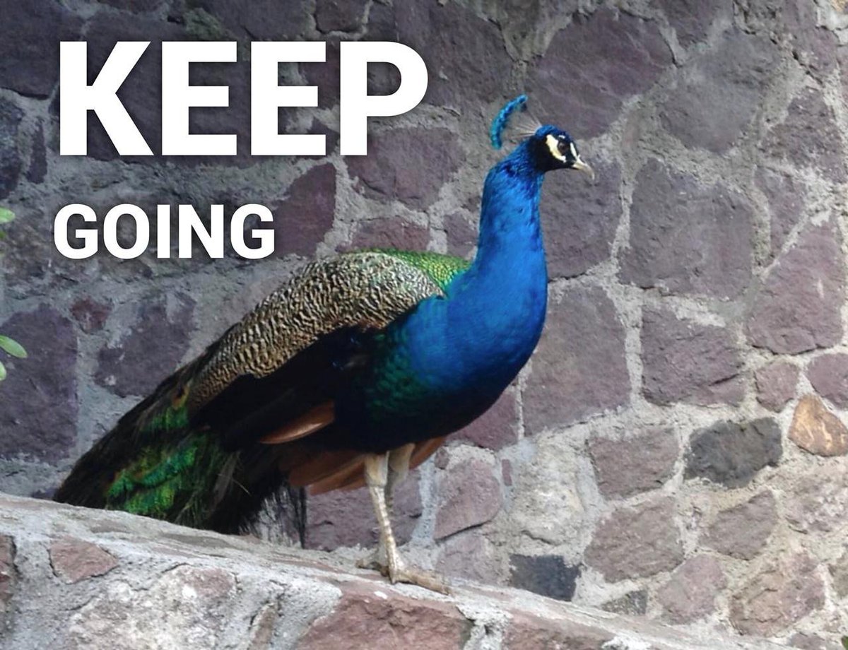 samebrainorg's tweet image. Even though it might seem hard to keep going when you feel as though it is impossible and society percieves you in the wrong way, it is worth it.
#mentalhealth #mentaldisorder #mentalhealthawareness #mentalhealthistherealwealth #SameBrain #strength #breakingstereotypes #Awareness