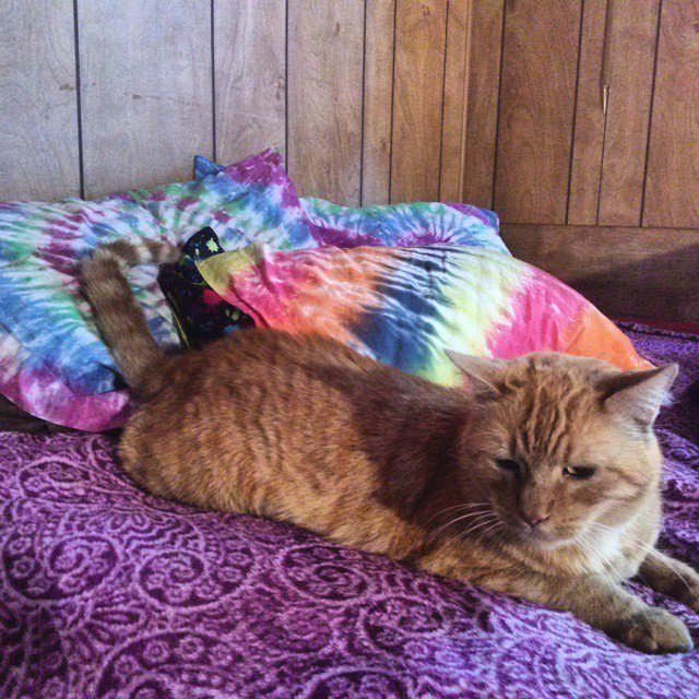 Awiledaself's tweet image. Marvin's favorite spot